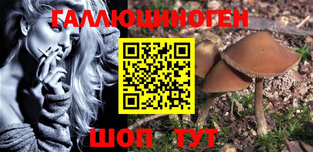 Псилоцибиновые грибы MAGIC MUSHROOMS  Вход с VPN  Лесной 